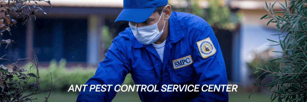 ant-pest-control-image Ant Pest Control Service Center