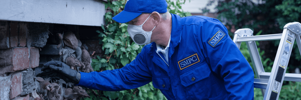 pest-control-worker-maintenance-package Pest Control Service Center Maintenance Packages