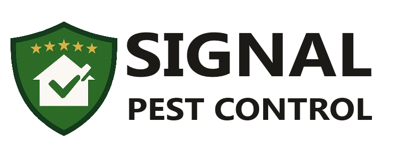 Signal Olog