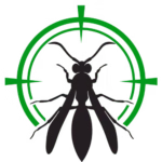 pest-control-servicer=center-logo Wasp